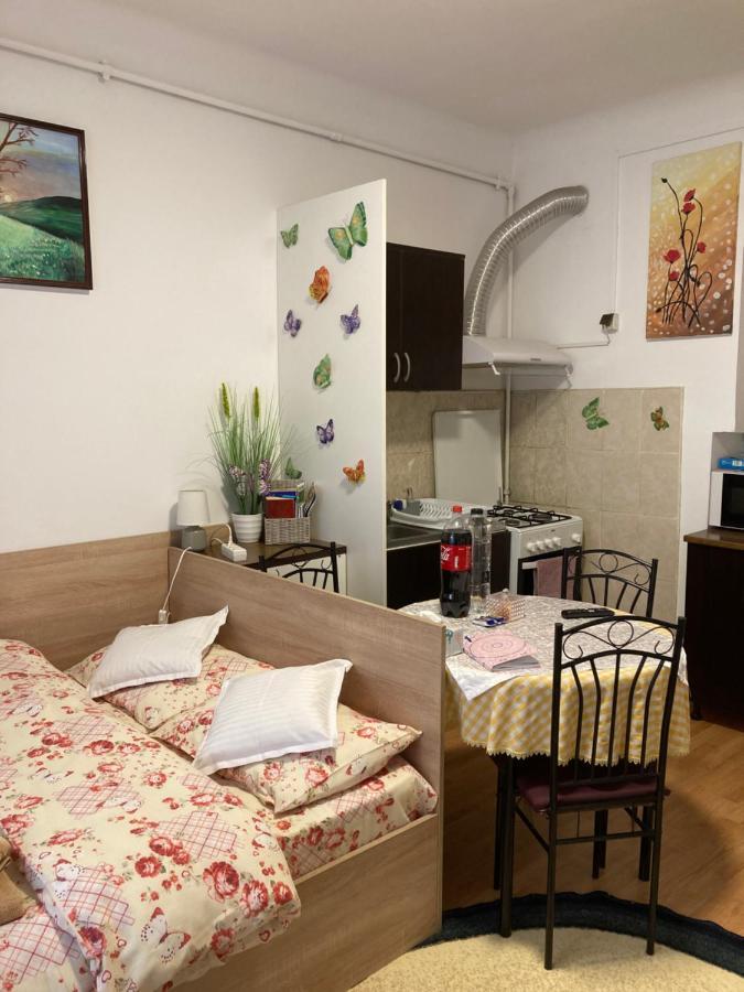 Апартаменты House Centrul Istoric Сибиу Экстерьер фото